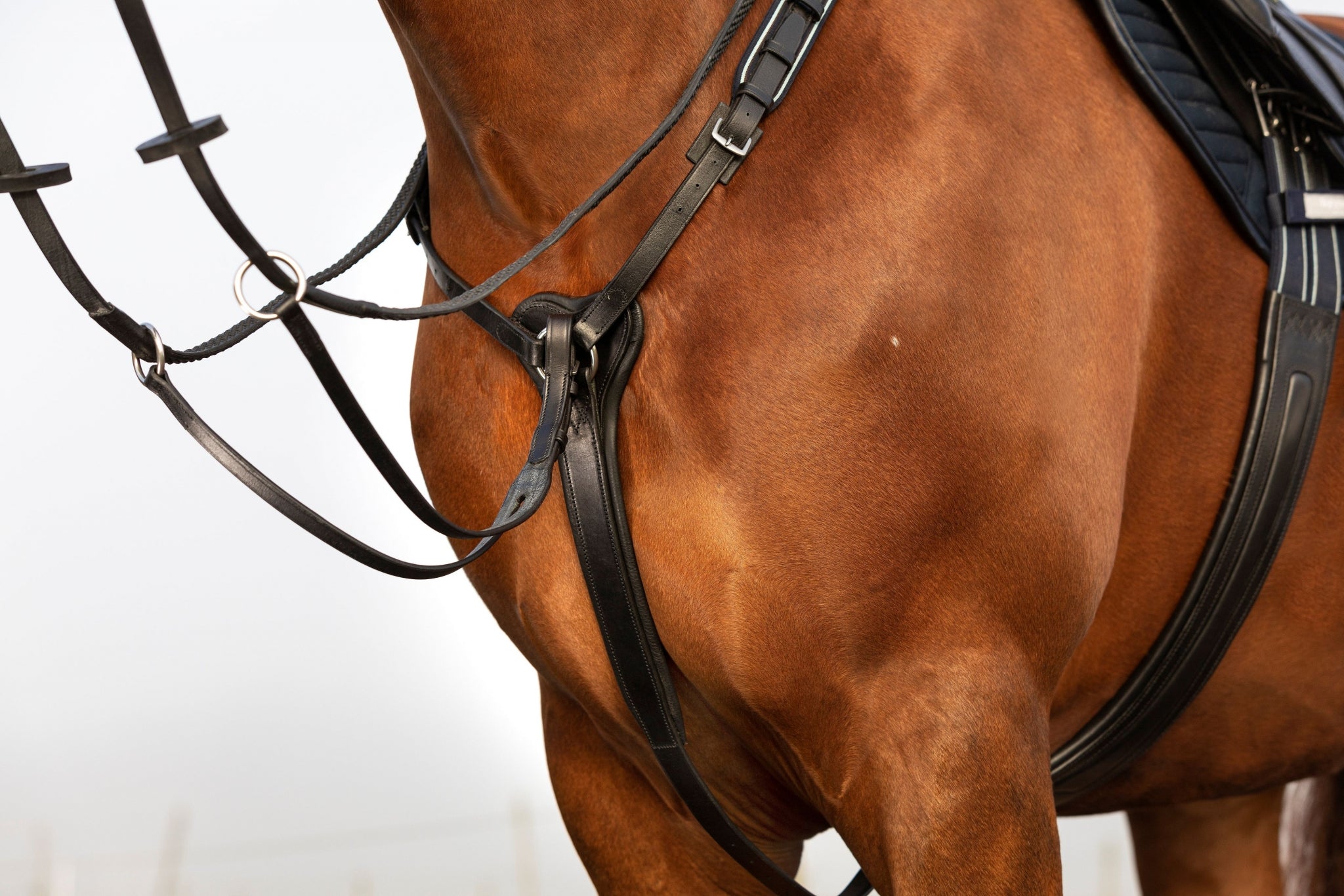 Horseware Micklem Breastplate Martin