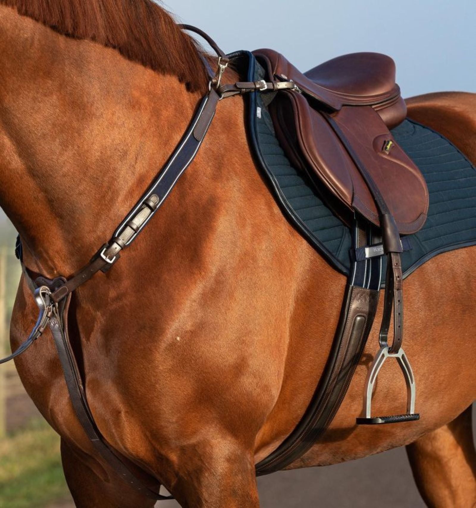 Horseware Micklem Breastplate Martin