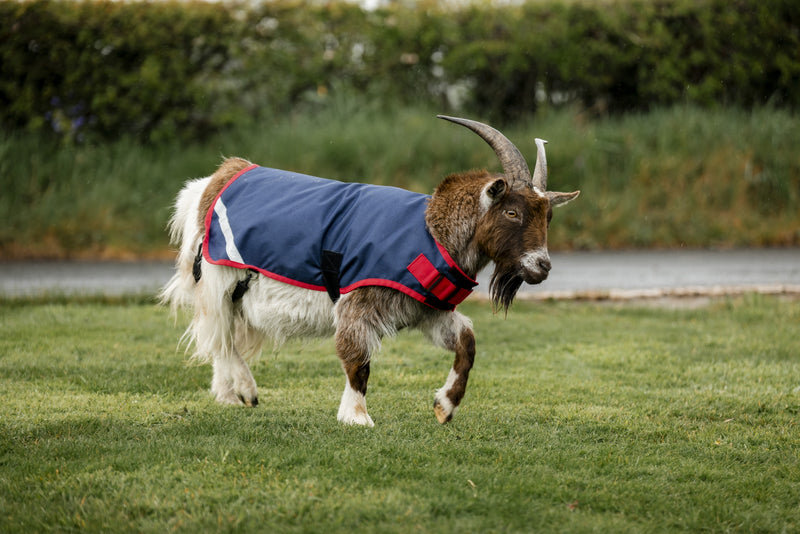 Horseware Goat Coat 0g