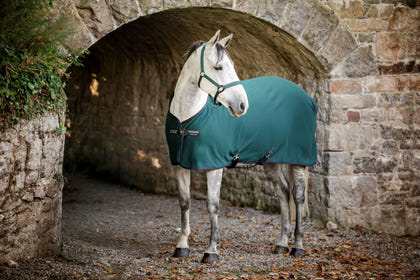 Amigo Jersey Pony Cooler