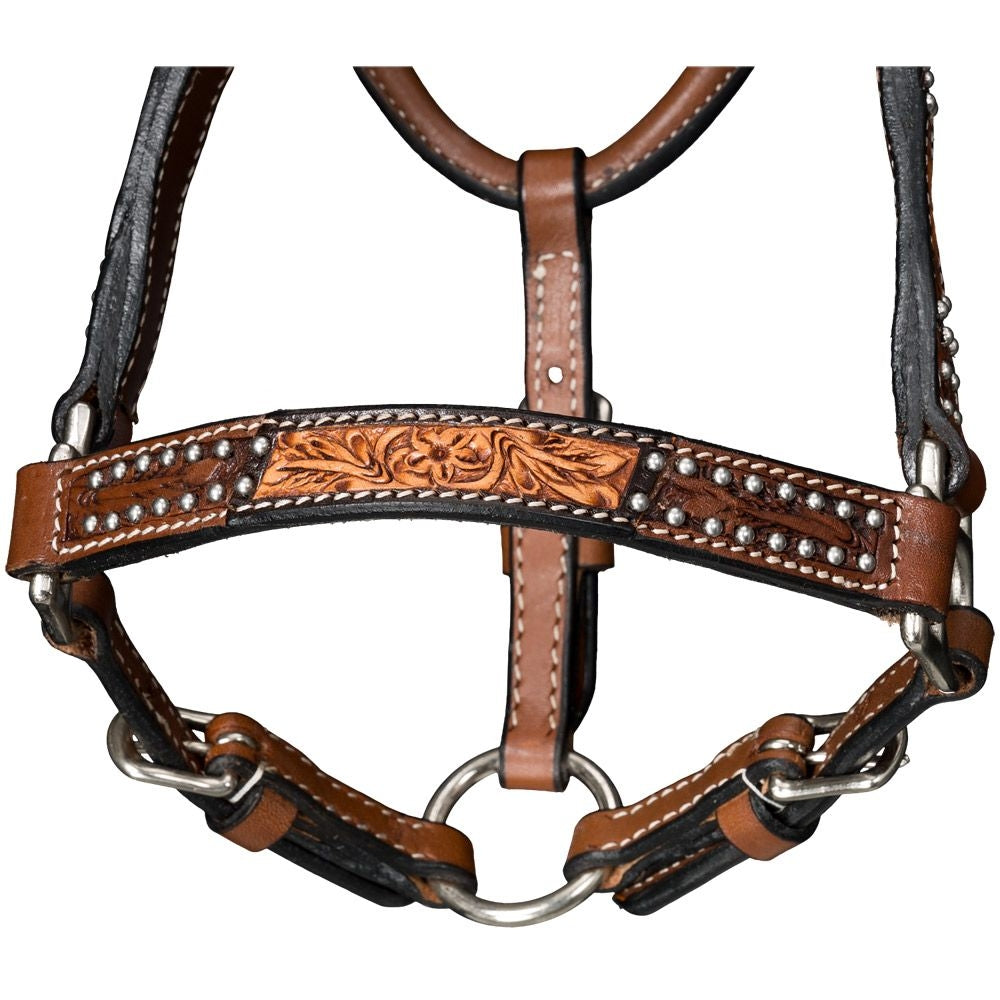 Royal King Mini Cow Puncher Halter With Lead