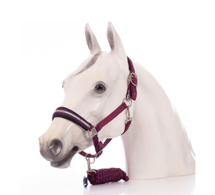 Horze Eternal Gaze Halter and Lead Set