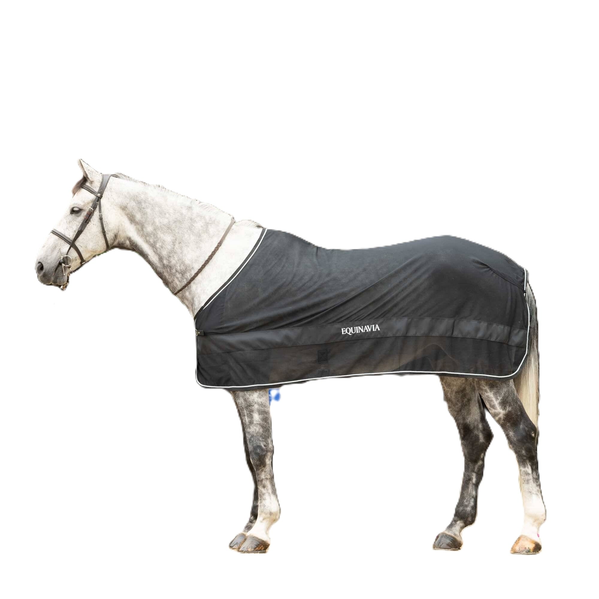 Equinavia Sol Ringside Scrim Sheet
