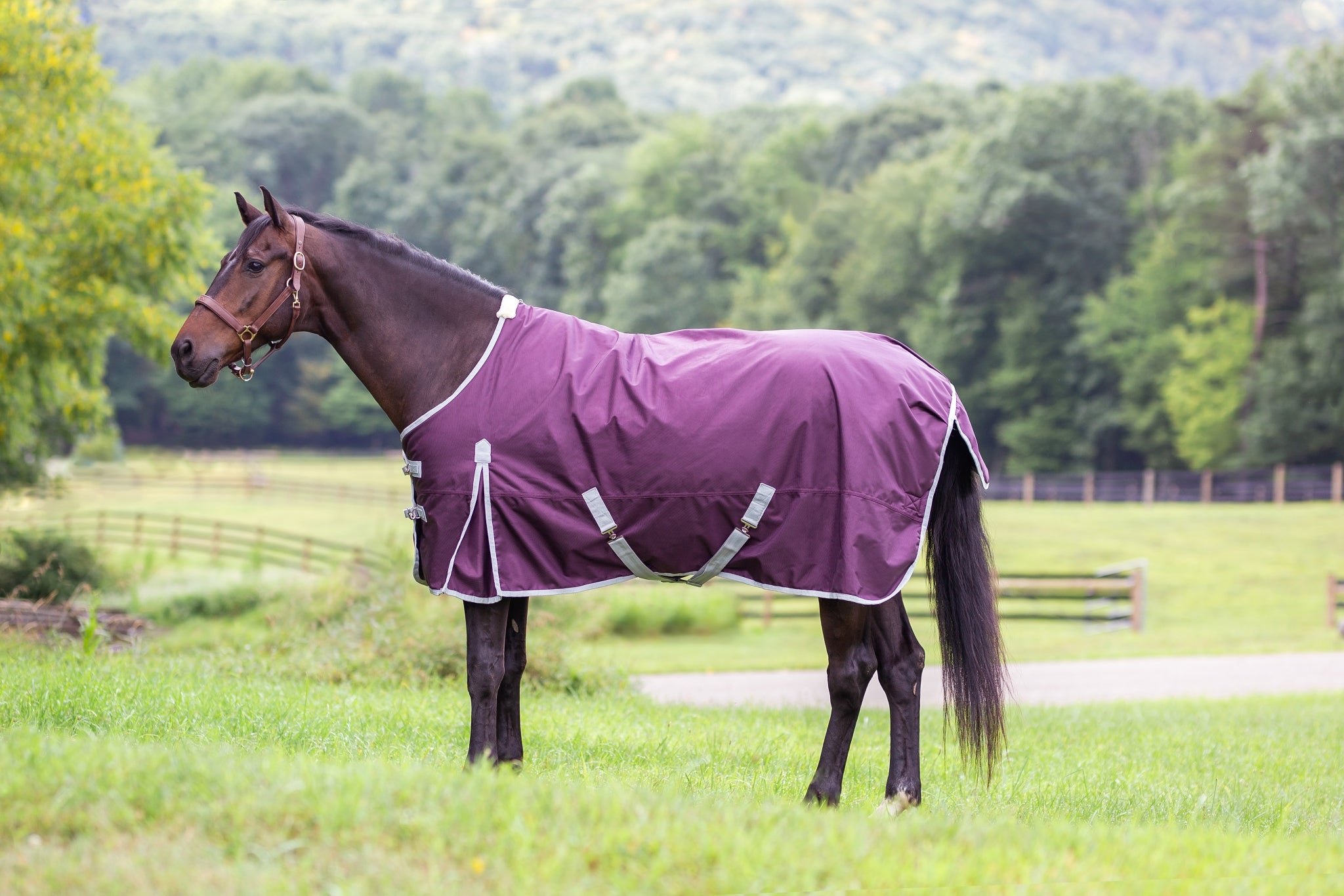 Gatsby Shield 1200D 250g Waterproof Turnout Blanket