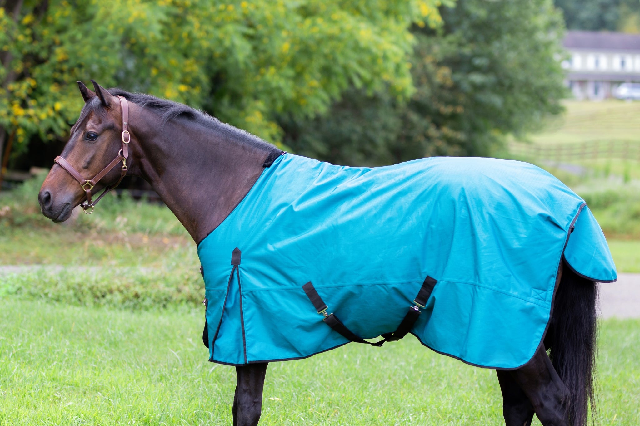 Gatsby Shield 1200D 250g Waterproof Turnout Blanket