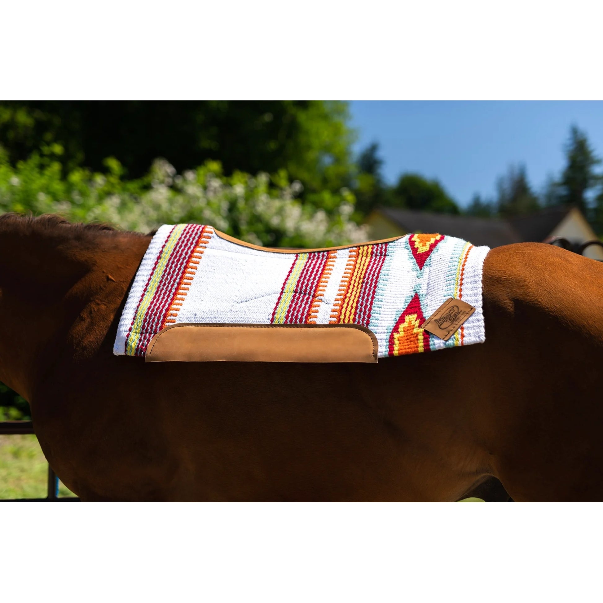 Impact Gel Sweet Treat Contour Cut with Felt Saddle Pad