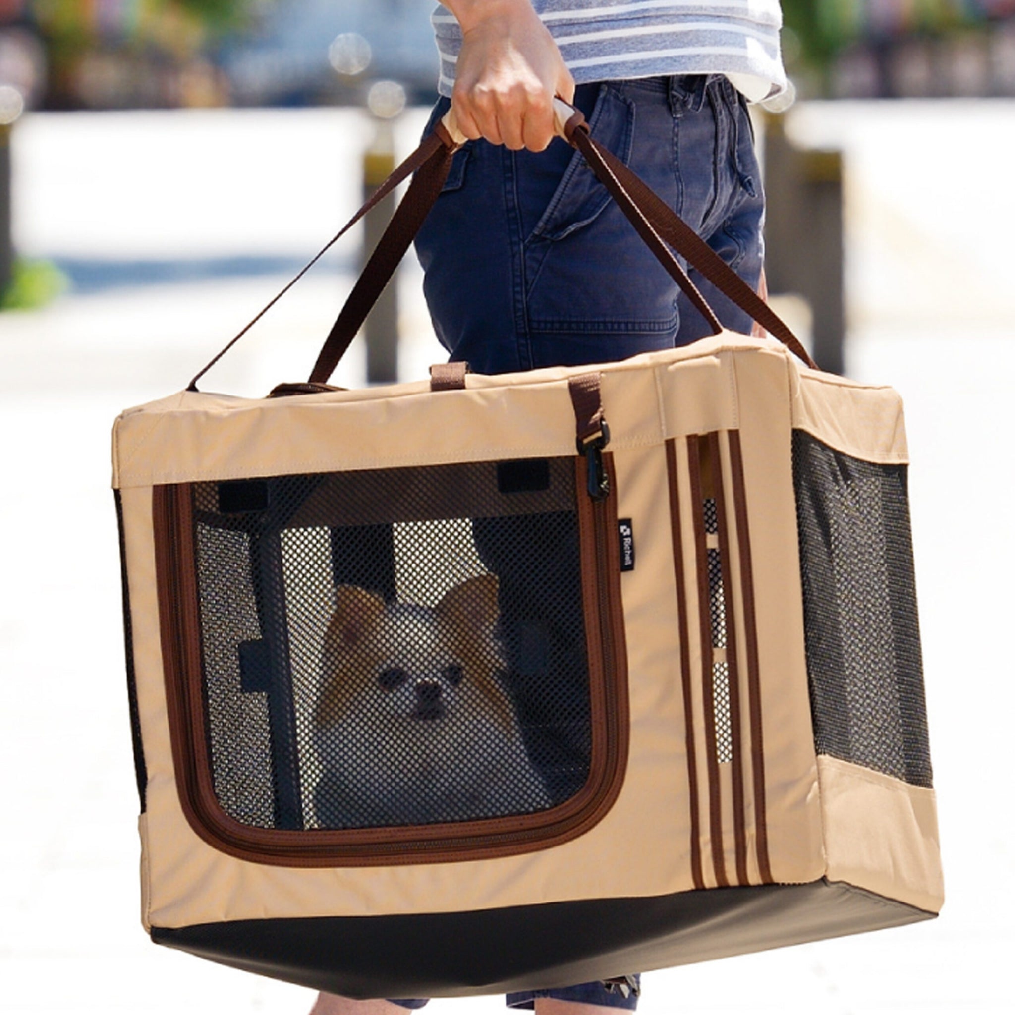 Richell Foldable Travel 3-Way Pet Crate