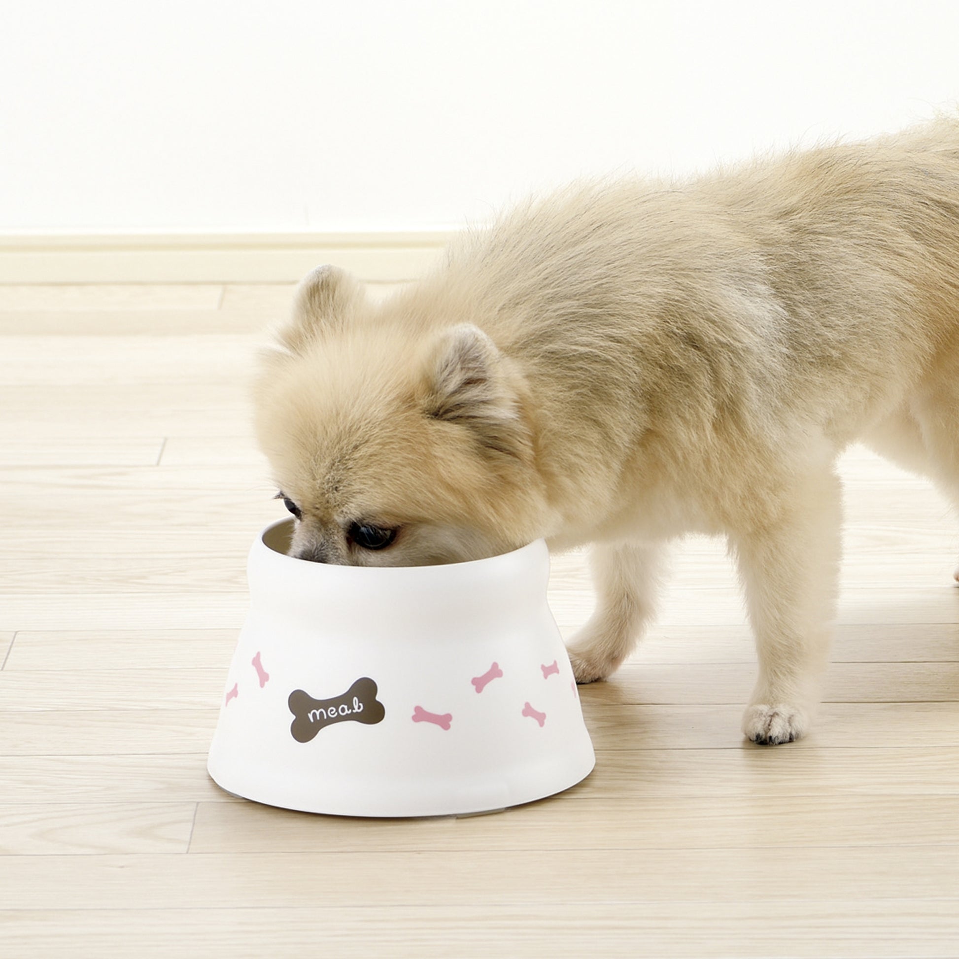 Richell Raised Dog Bowl