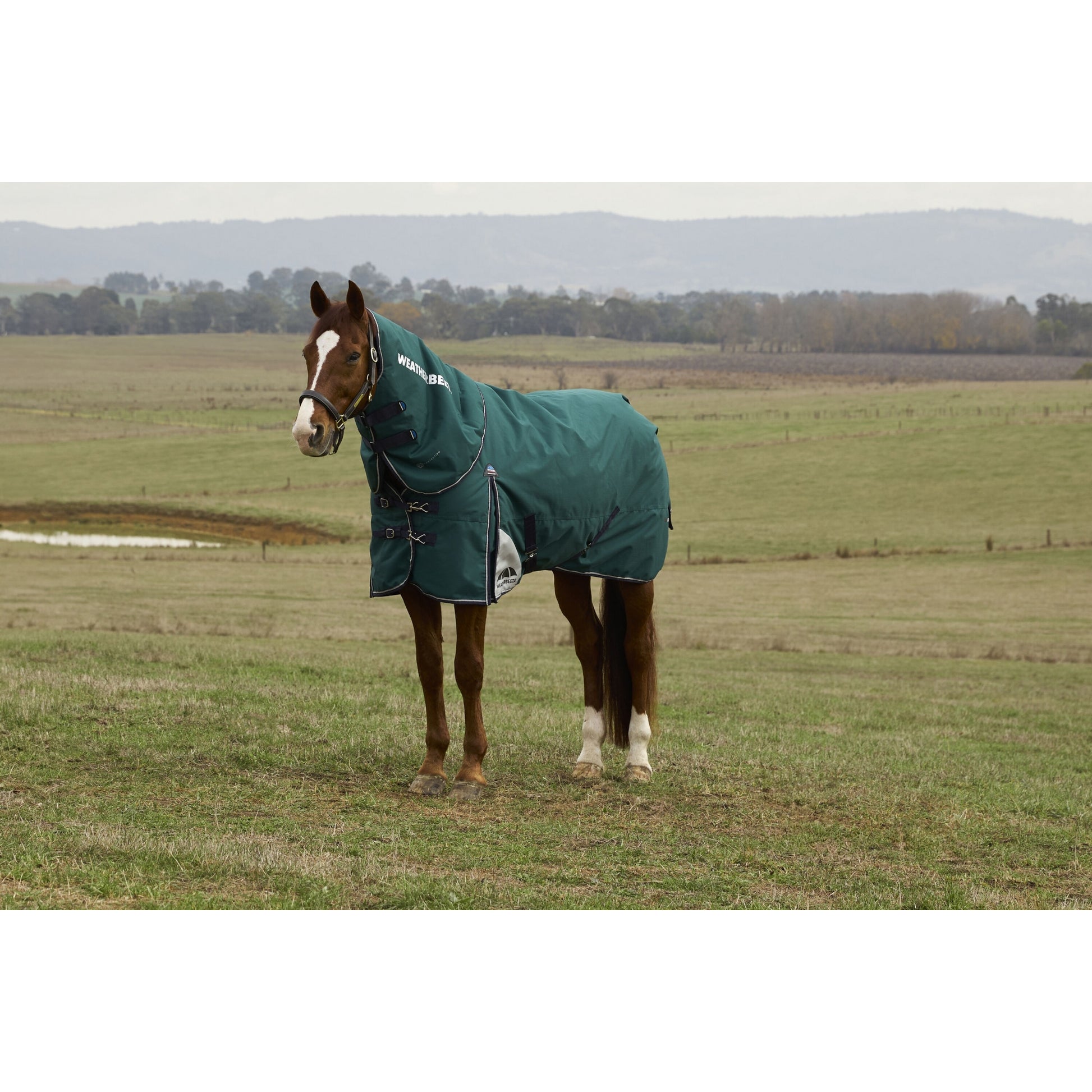 Weatherbeeta ComFiTec Plus Dynamic Turnout Detach-A-Neck 100g