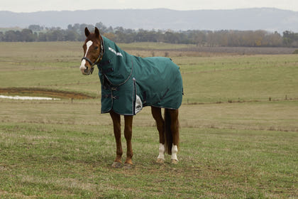 Weatherbeeta ComFiTec Plus Dynamic Turnout Detach-A-Neck 100g
