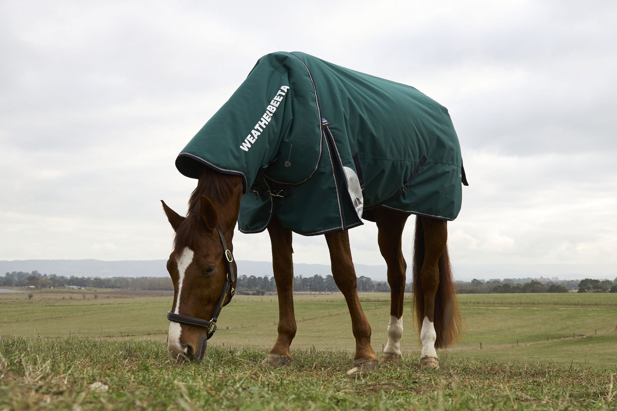 Weatherbeeta ComFiTec Plus Dynamic Turnout Detach-A-Neck 100g