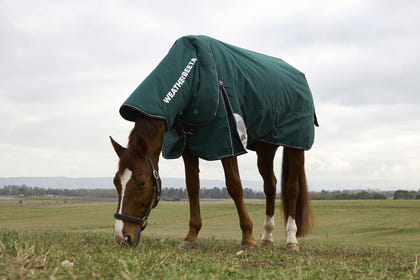 Weatherbeeta ComFiTec Plus Dynamic Turnout Detach-A-Neck 100g