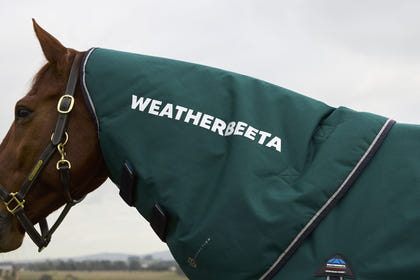 Weatherbeeta ComFiTec Plus Dynamic Turnout Detach-A-Neck 100g