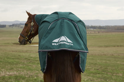 Weatherbeeta ComFiTec Plus Dynamic Turnout Detach-A-Neck 100g