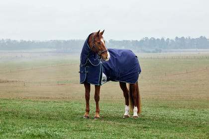 Weatherbeeta ComFiTec Plus Dynamic Turnout Detach-A-Neck 100g
