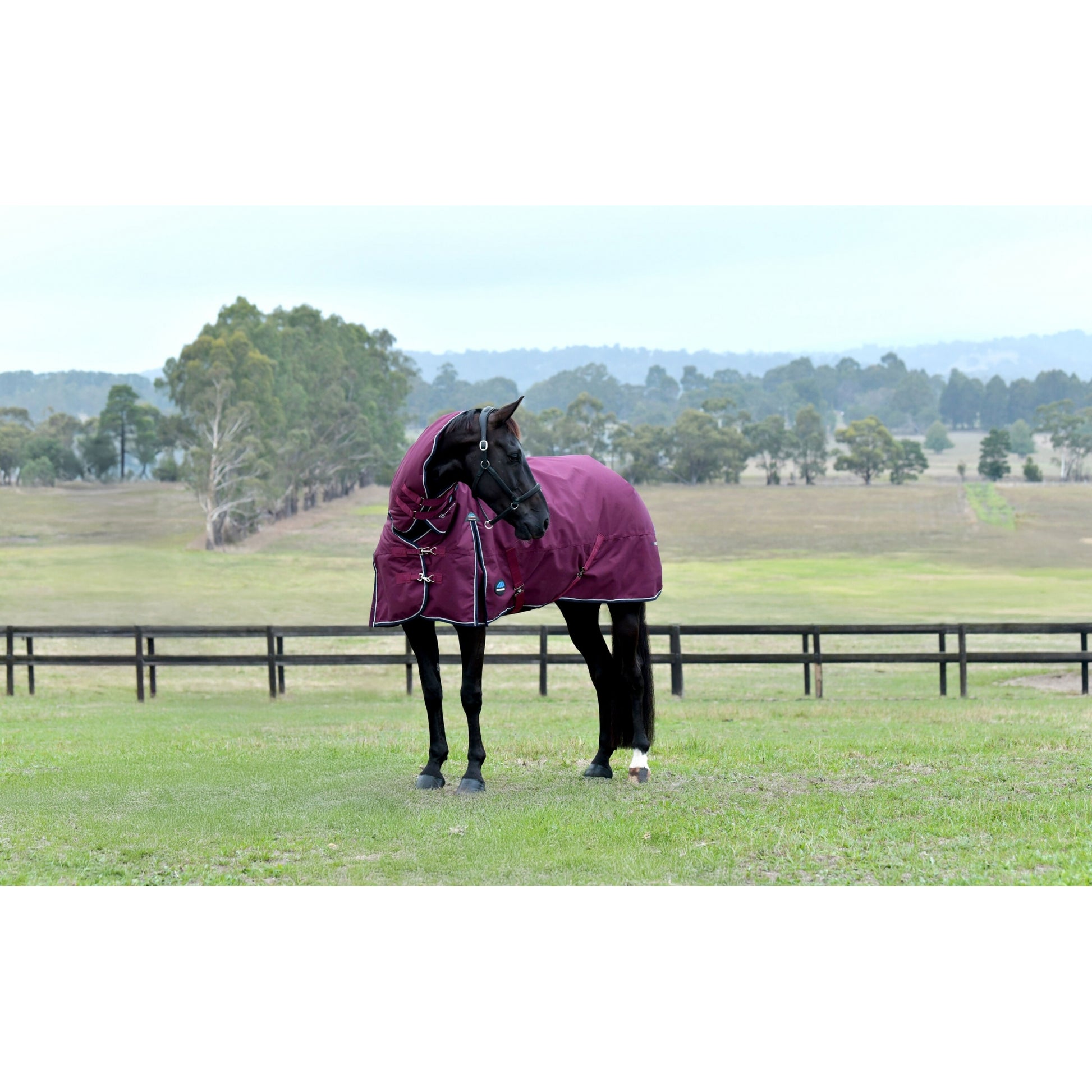 Weatherbeeta ComFiTec Essential Turnout Combo 50g