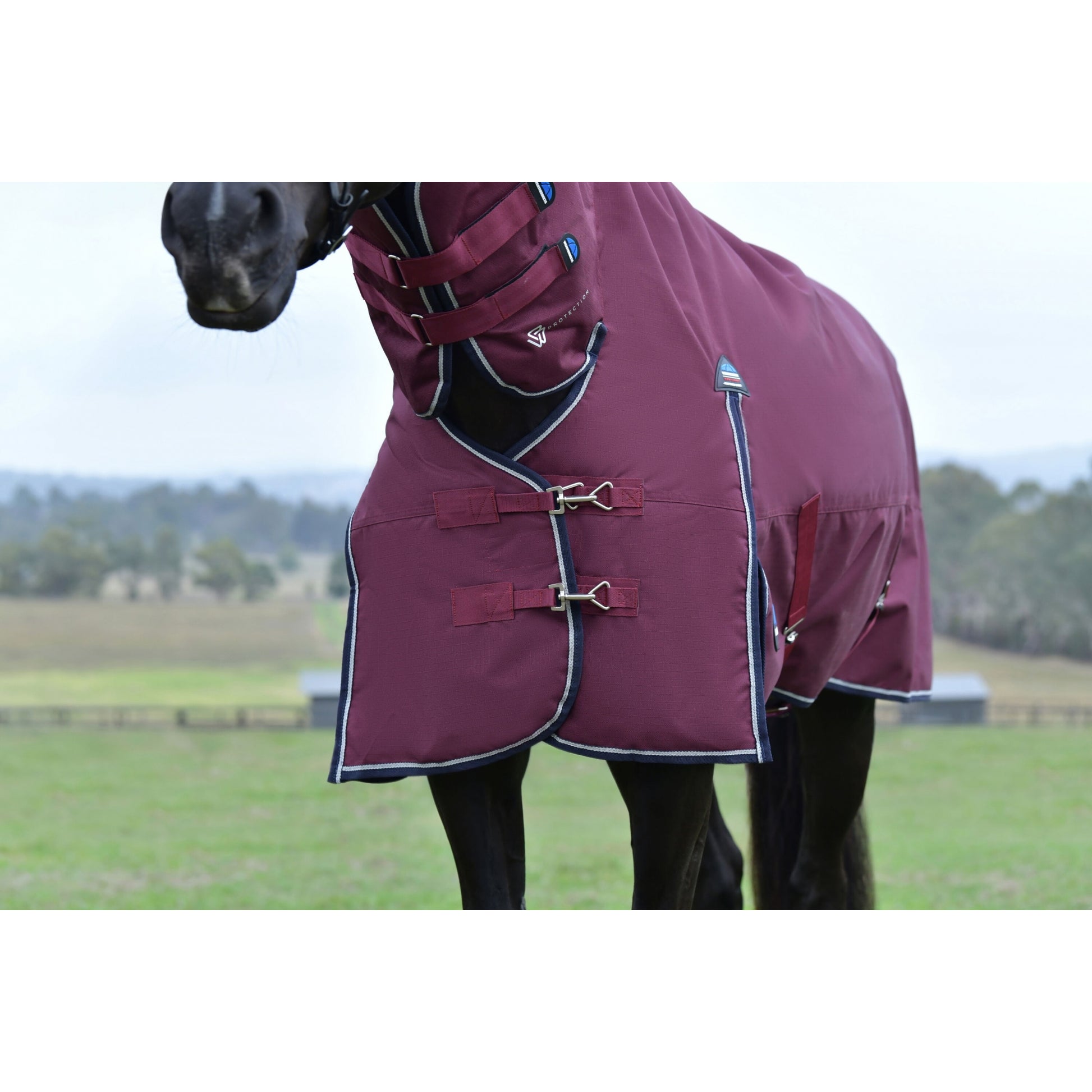 Weatherbeeta ComFiTec Essential Turnout Combo 50g