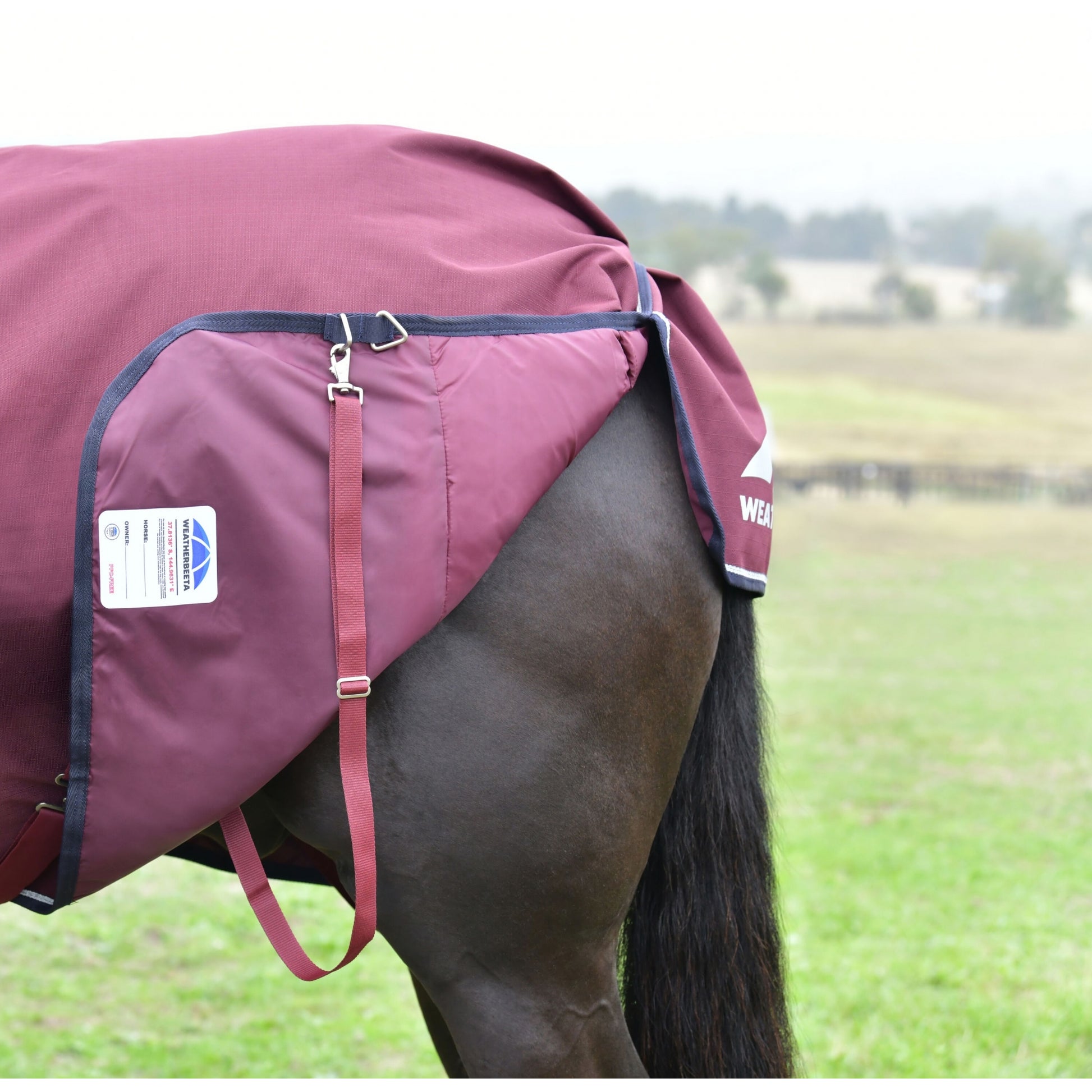 Weatherbeeta ComFiTec Essential Turnout Combo 50g