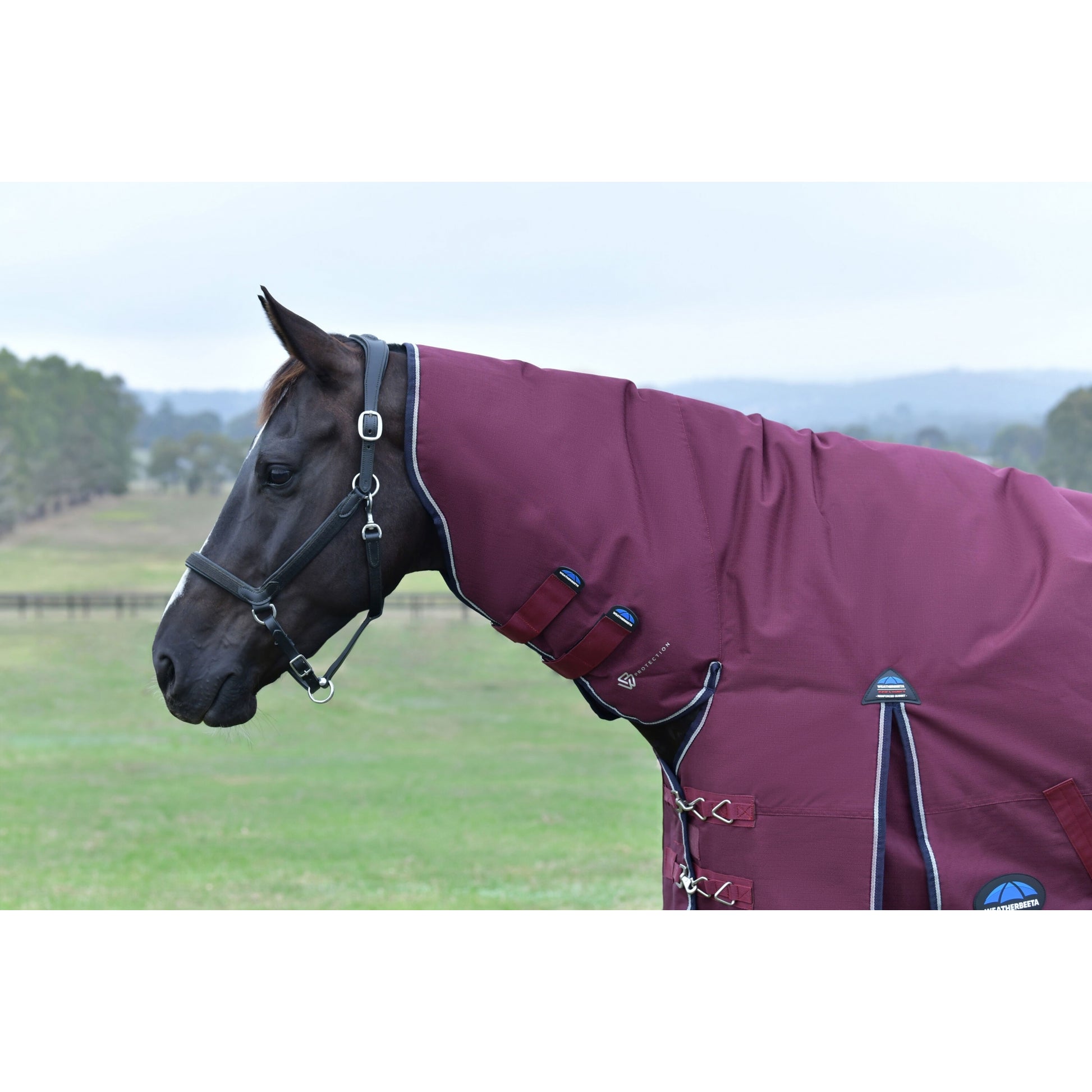 Weatherbeeta ComFiTec Essential Turnout Combo 50g