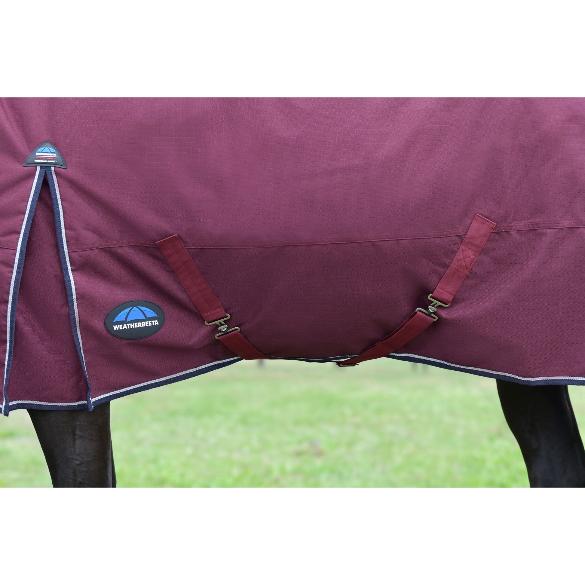 Weatherbeeta ComFiTec Essential Turnout Combo 50g