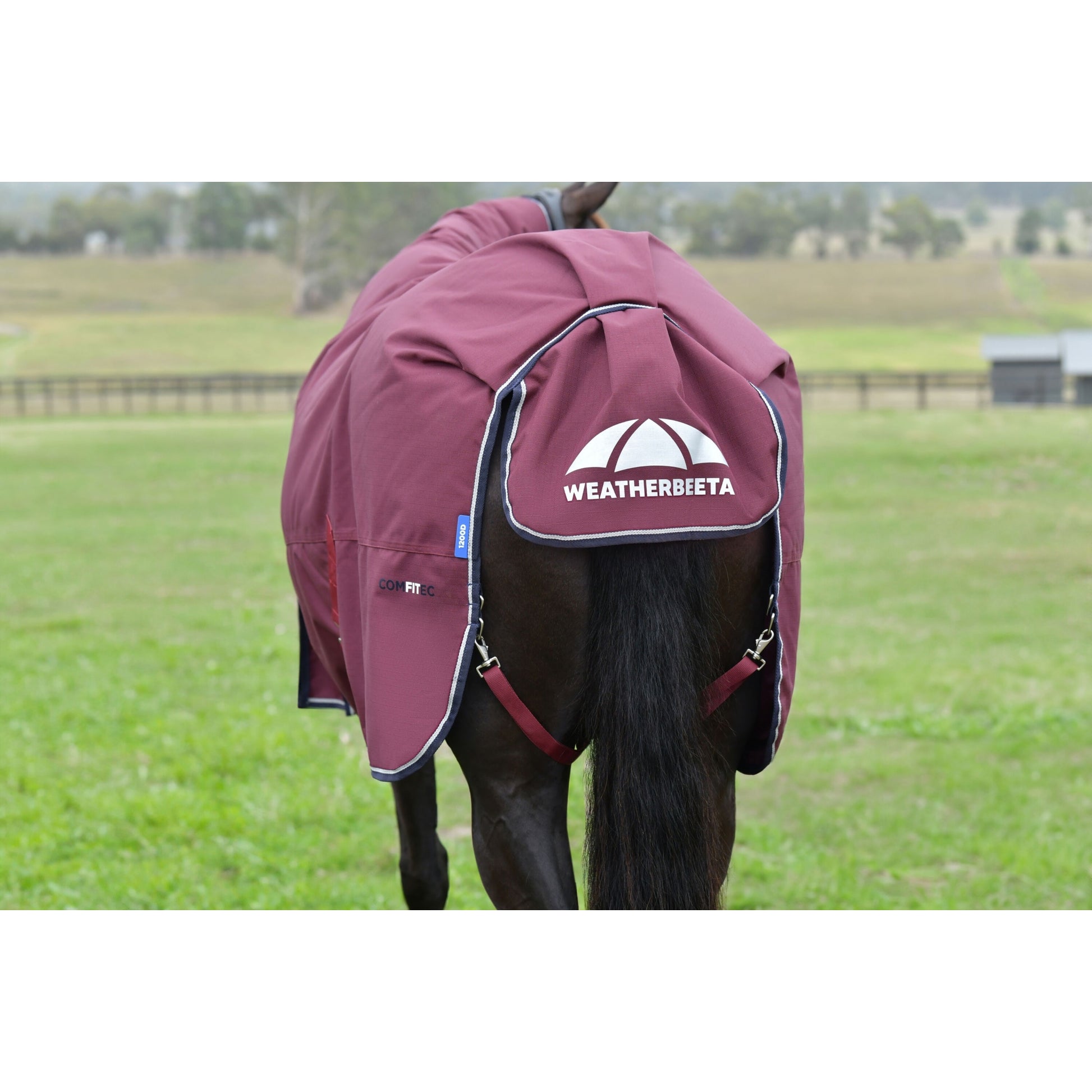 Weatherbeeta ComFiTec Essential Turnout Combo 50g