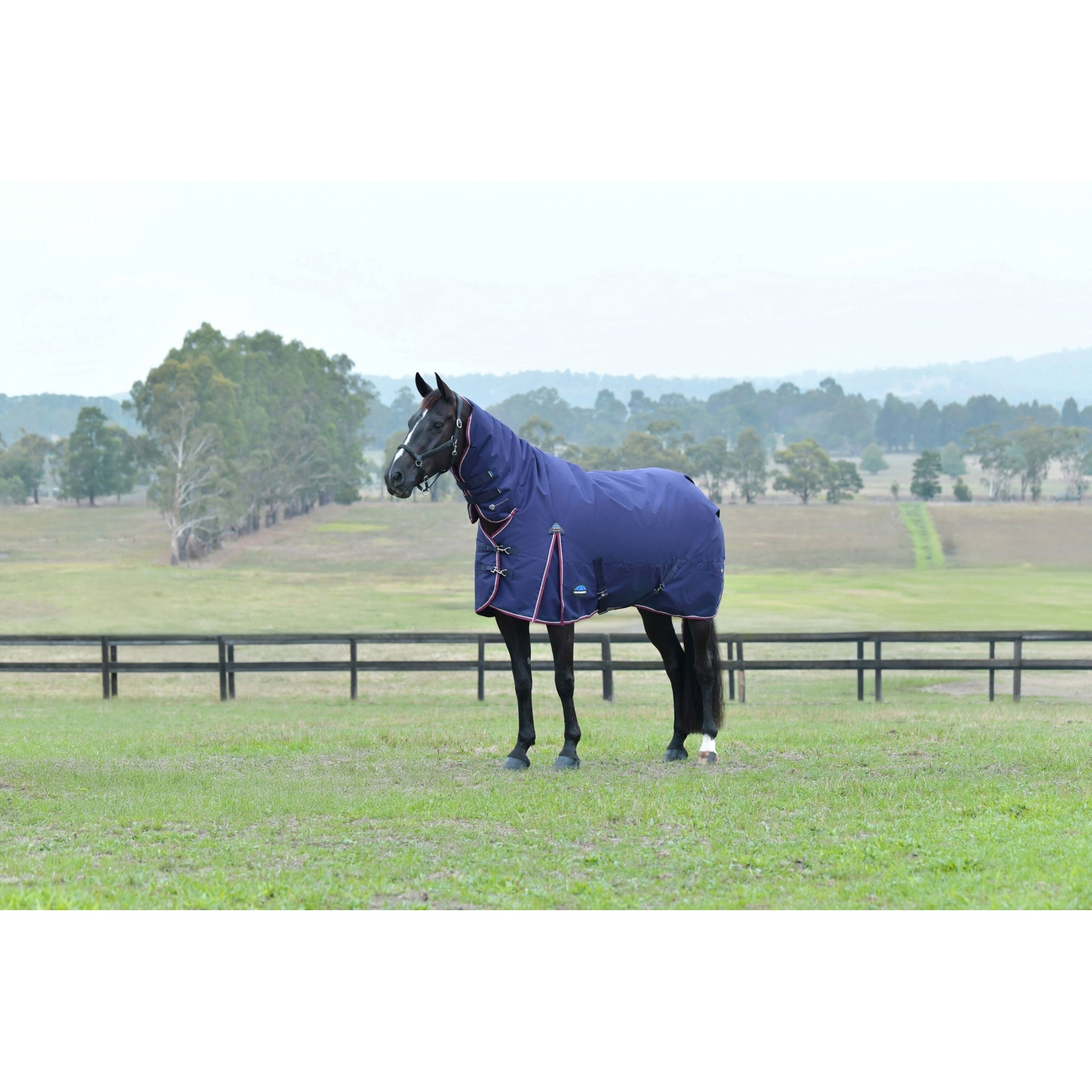 Weatherbeeta ComFiTec Essential Turnout Combo 50g