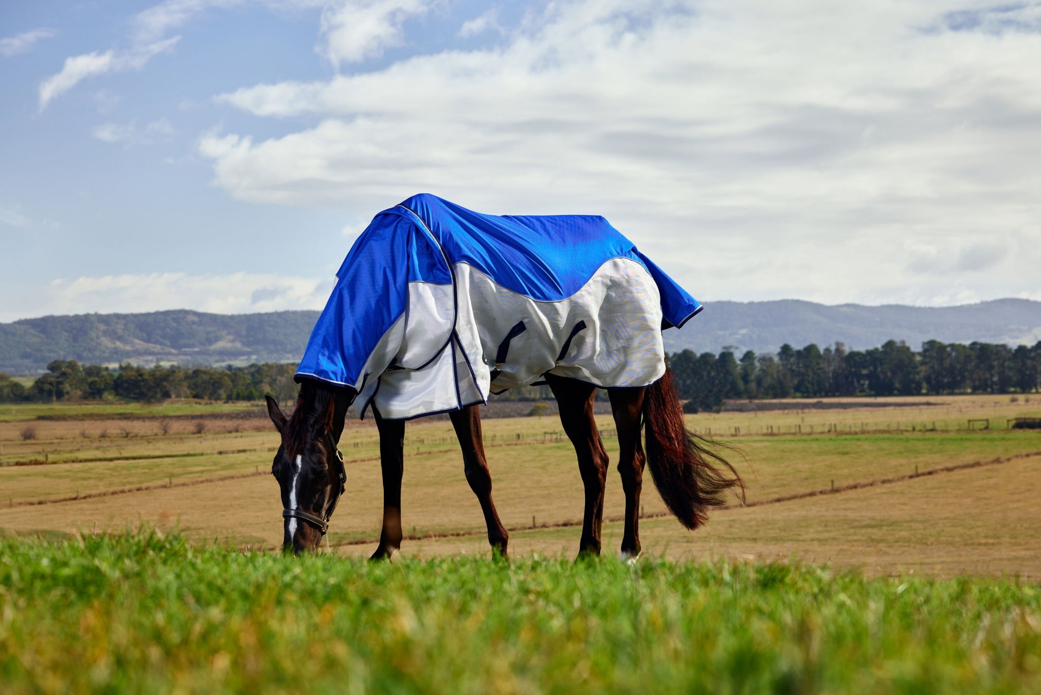 Weatherbeeta ComFiTec Duo Shield Detach-A-Neck