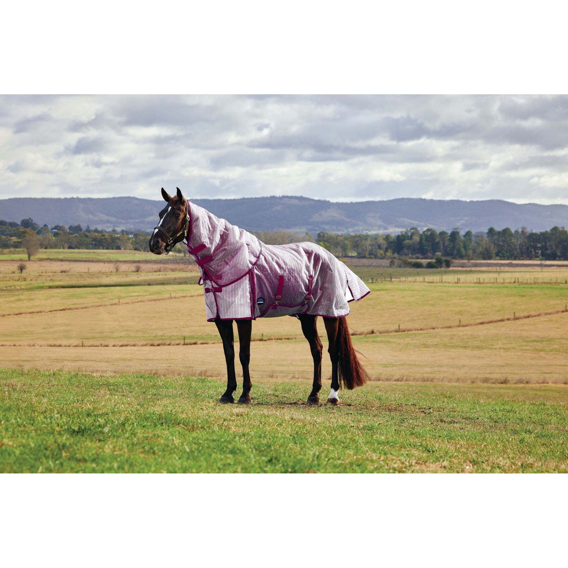 Weatherbeeta ComFiTec Ripshield Fly Sheet Detach-A-Neck