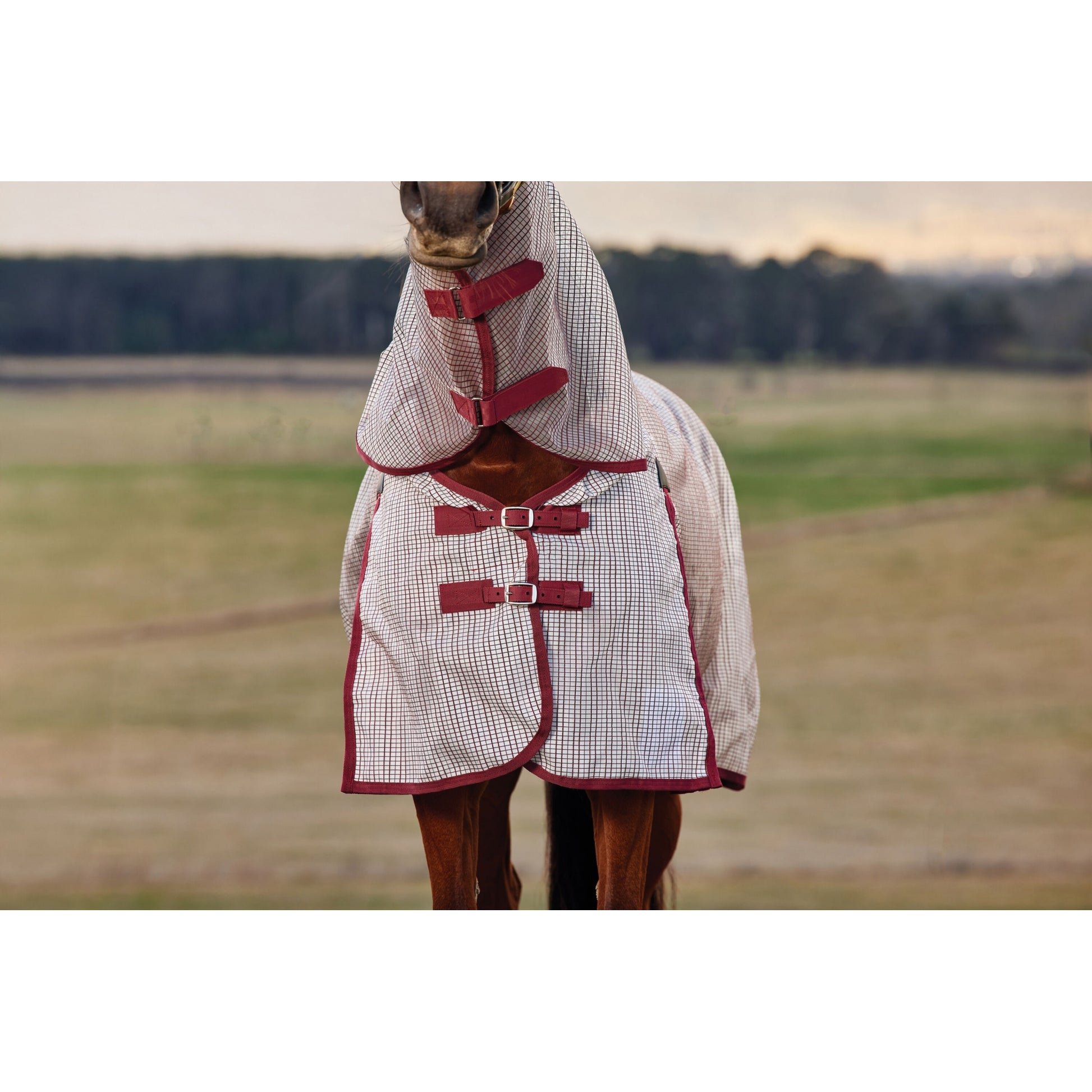 Weatherbeeta ComFiTec Ripshield Fly Sheet Detach-A-Neck