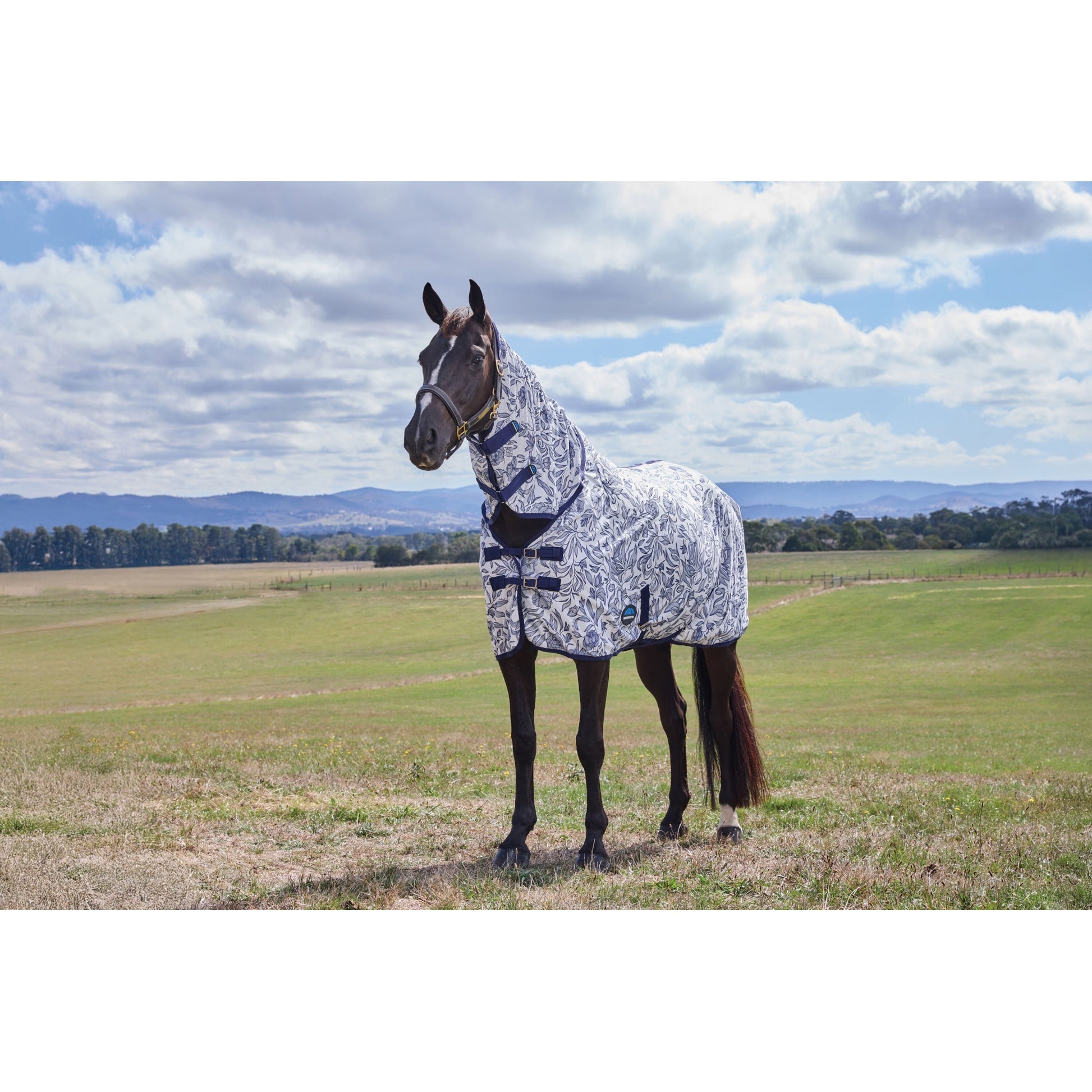 Weatherbeeta ComFiTec Limited Edition Fly Sheet Combo
