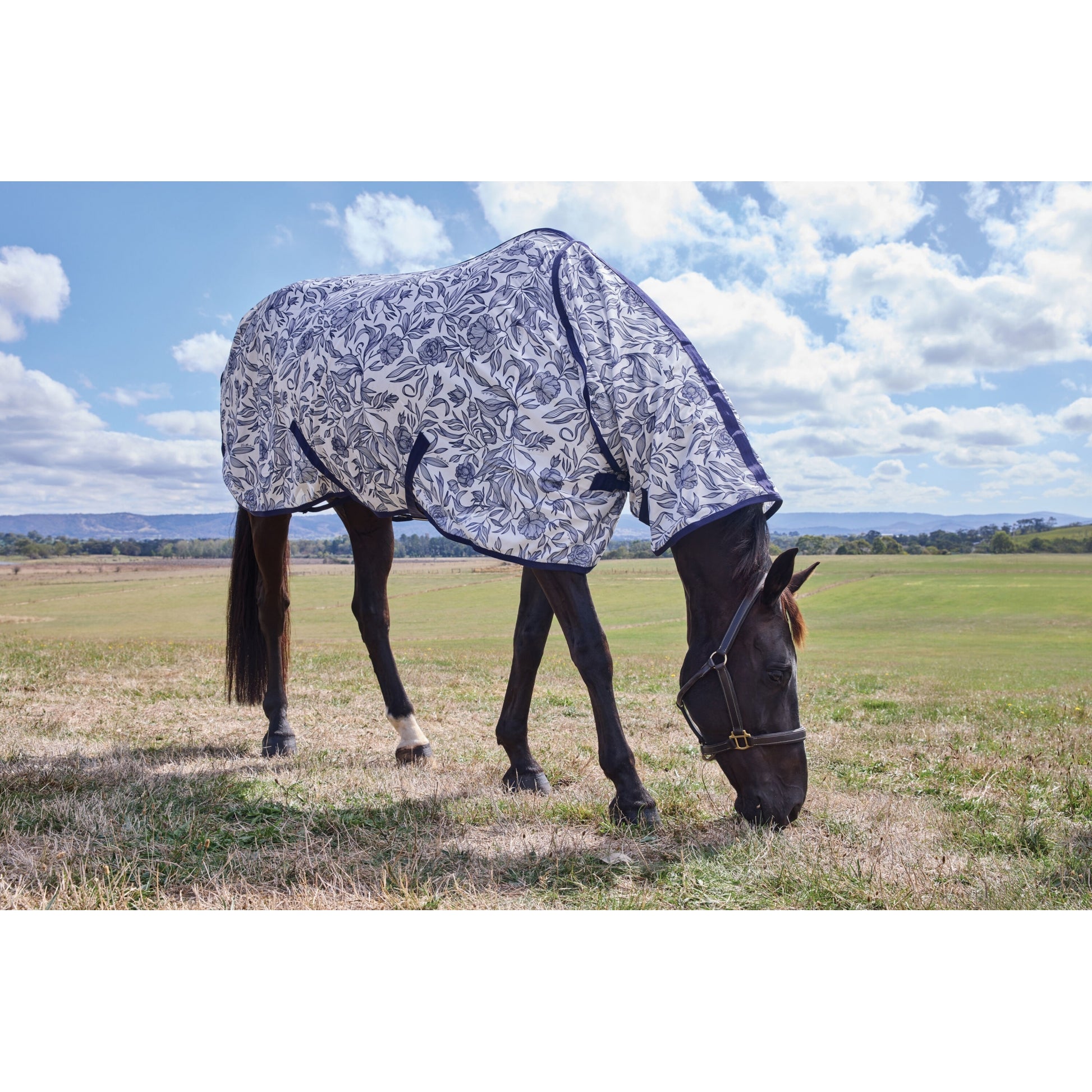 Weatherbeeta ComFiTec Limited Edition Fly Sheet Combo
