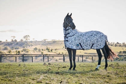 Weatherbeeta ComFiTec Limited Edition Fly Sheet Combo
