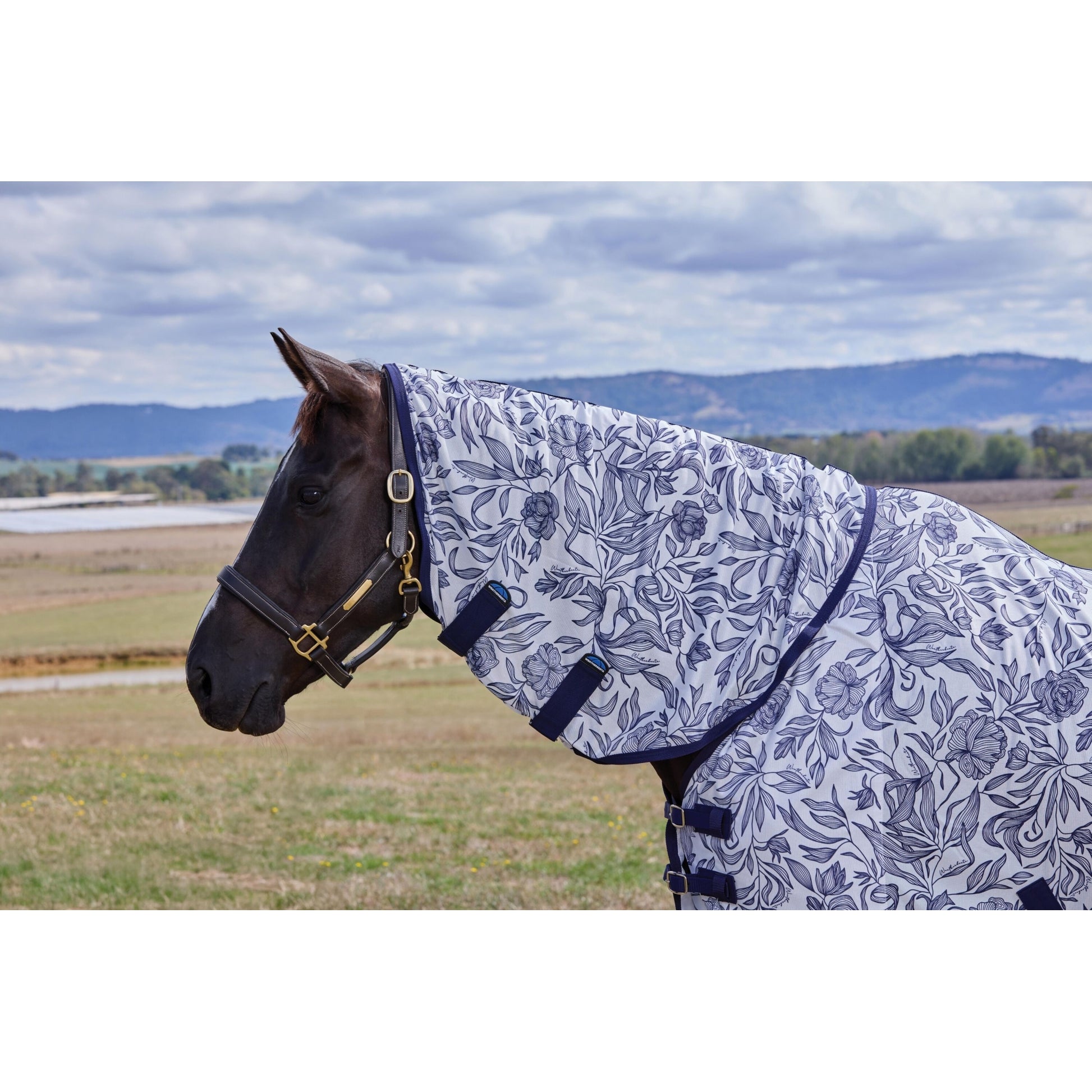 Weatherbeeta ComFiTec Limited Edition Fly Sheet Combo