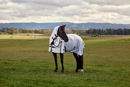 Weatherbeeta Airstream Detach-A-Neck Turnout Sheet