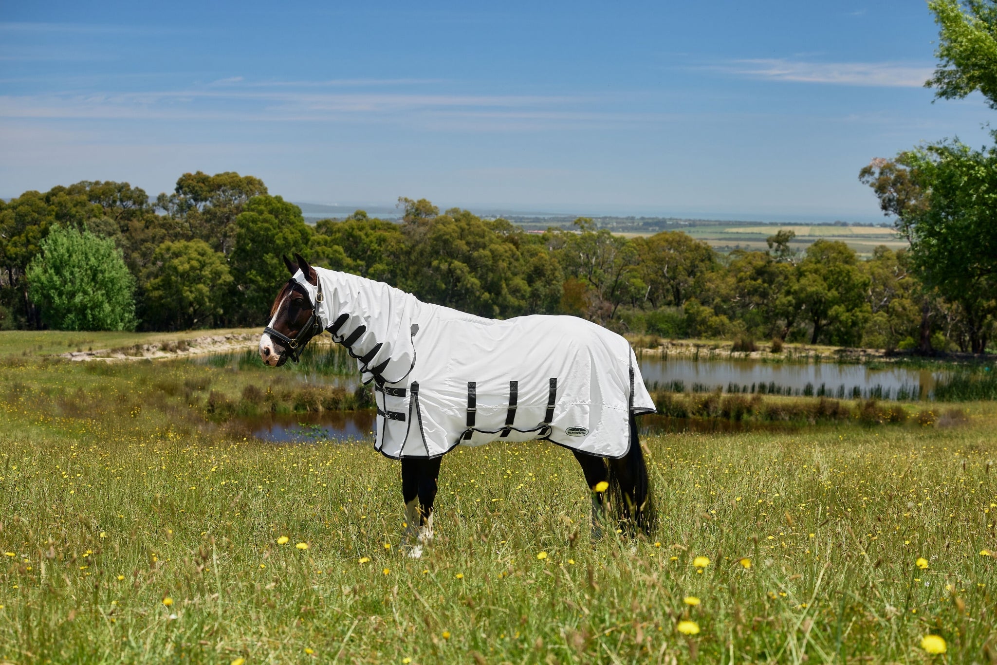 Weatherbeeta Sweet Itch Shield Combo Neck