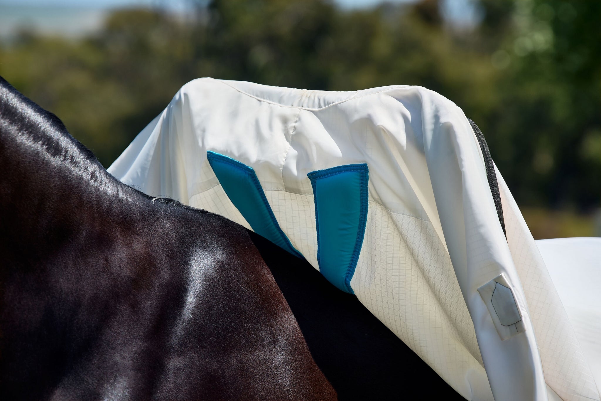 Weatherbeeta Sweet Itch Shield Combo Neck