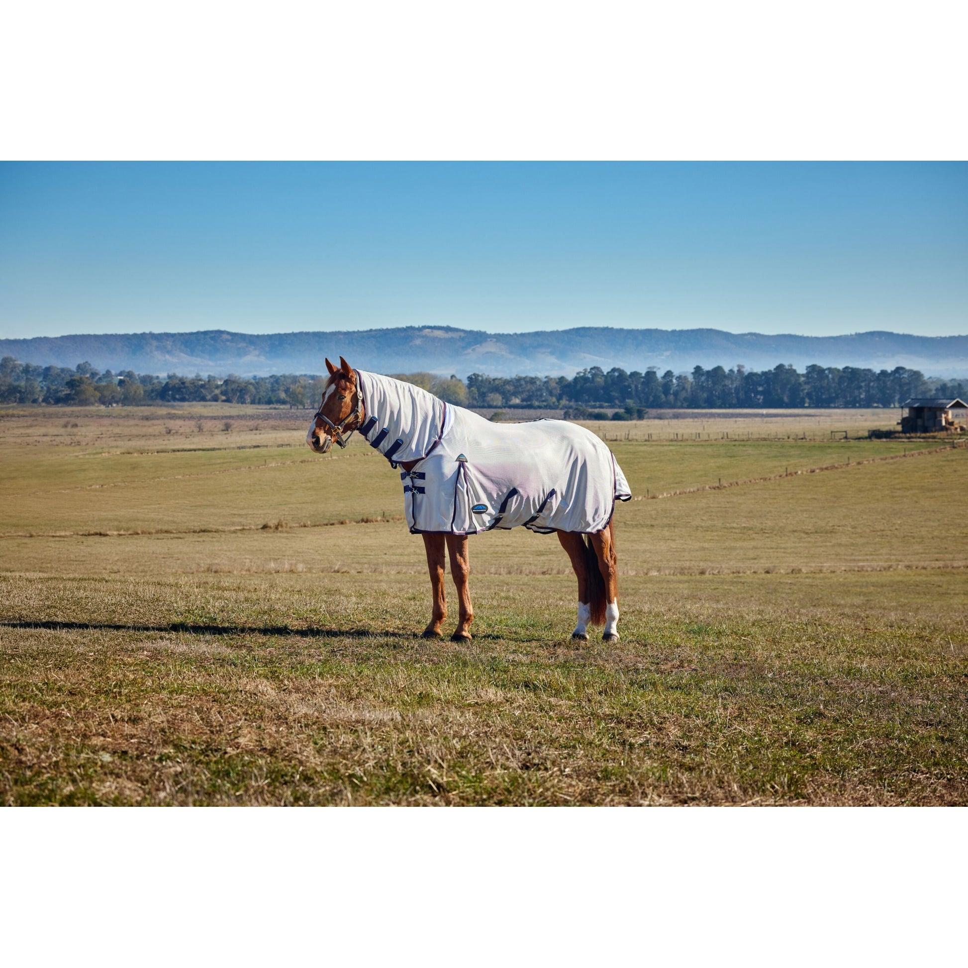 Weatherbeeta ComFiTec Airflow Fly Sheet Combo Neck