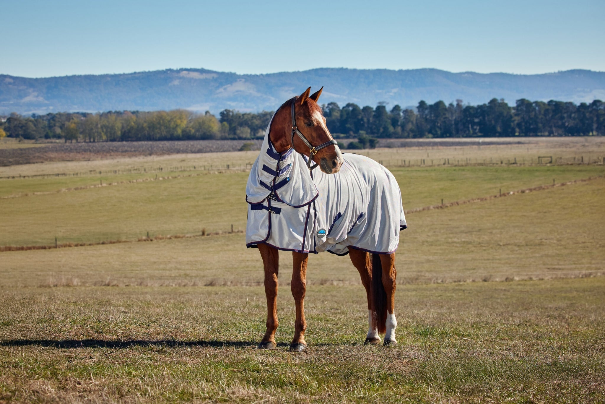 Weatherbeeta ComFiTec Airflow Fly Sheet Combo Neck
