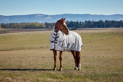 Weatherbeeta ComFiTec Airflow Fly Sheet Combo Neck