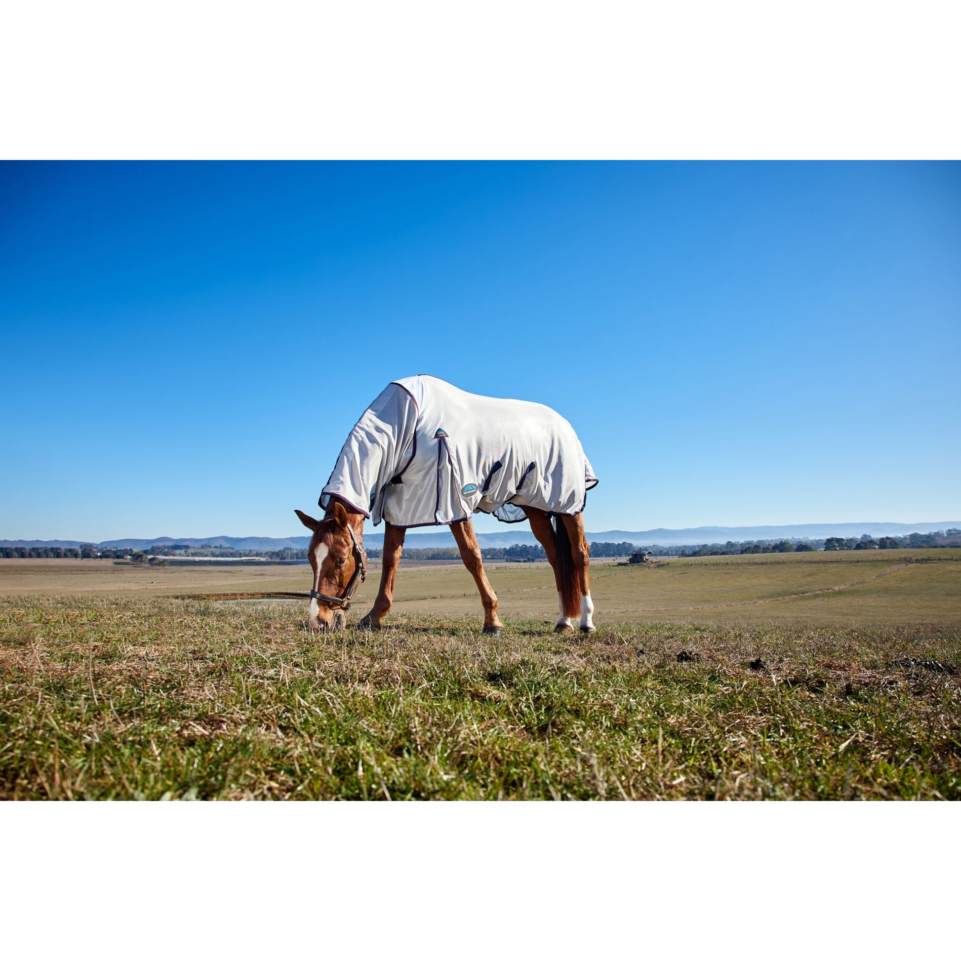 Weatherbeeta ComFiTec Airflow Fly Sheet Combo Neck