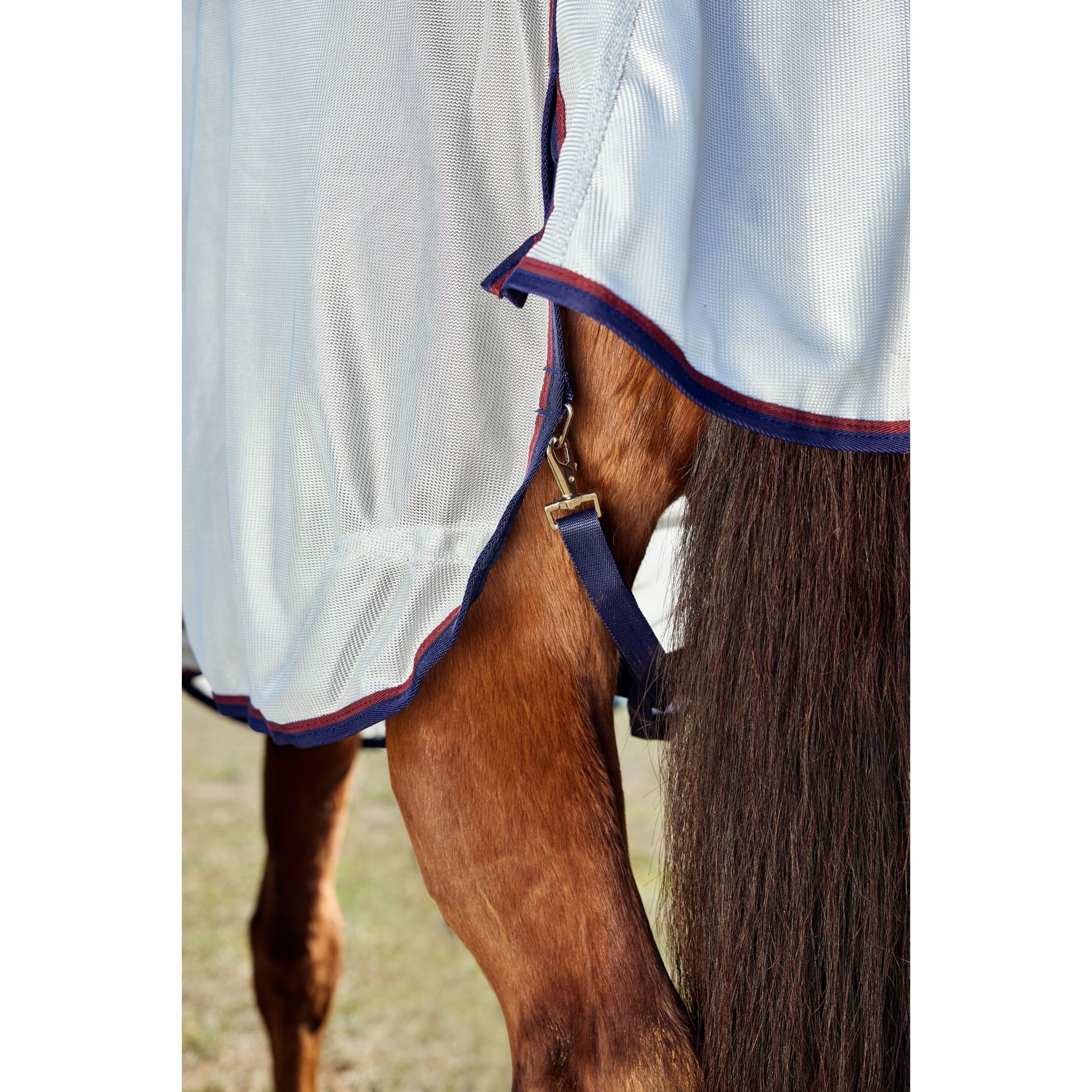 Weatherbeeta ComFiTec Airflow Fly Sheet Combo Neck