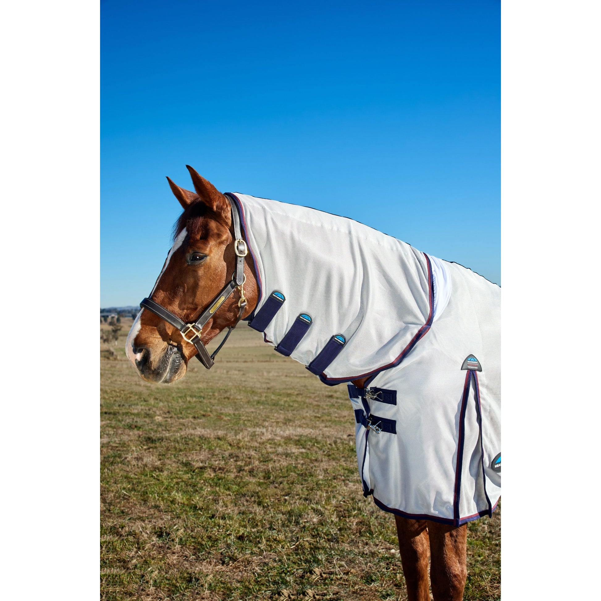 Weatherbeeta ComFiTec Airflow Fly Sheet Combo Neck