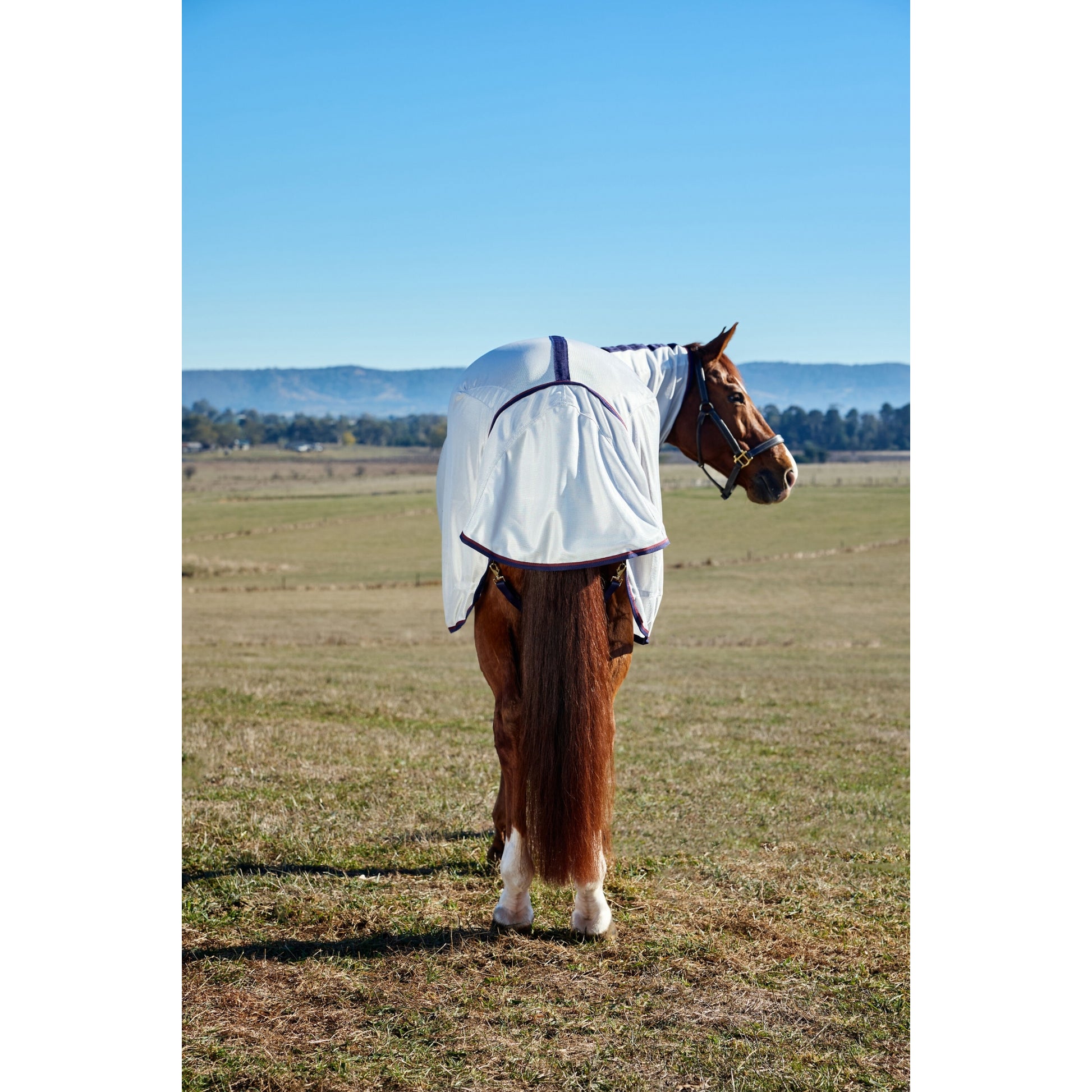 Weatherbeeta ComFiTec Airflow Fly Sheet Combo Neck