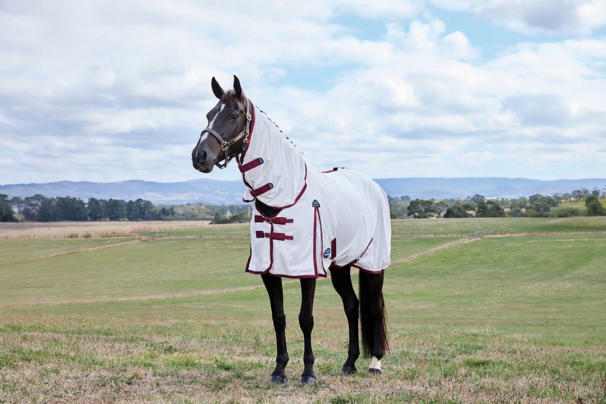 WeatherBeeta ComFiTec Essential Combo Neck Fly Sheet