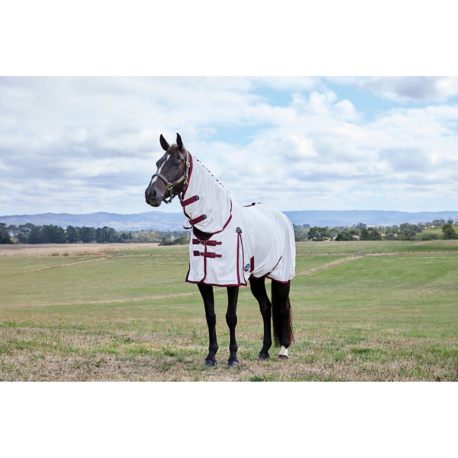 WeatherBeeta ComFiTec Essential Combo Neck Fly Sheet