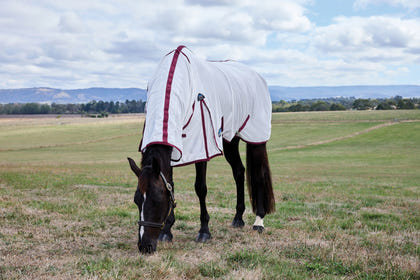 WeatherBeeta ComFiTec Essential Combo Neck Fly Sheet