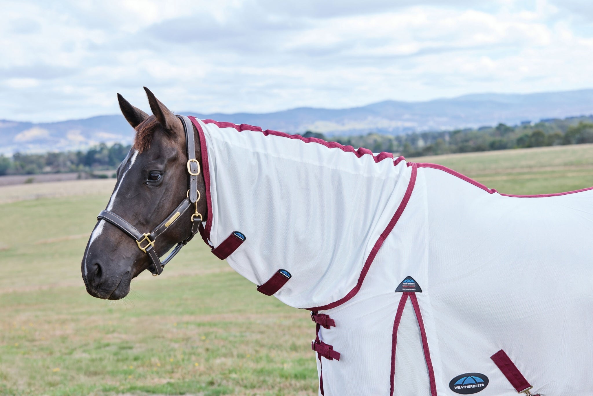 WeatherBeeta ComFiTec Essential Combo Neck Fly Sheet