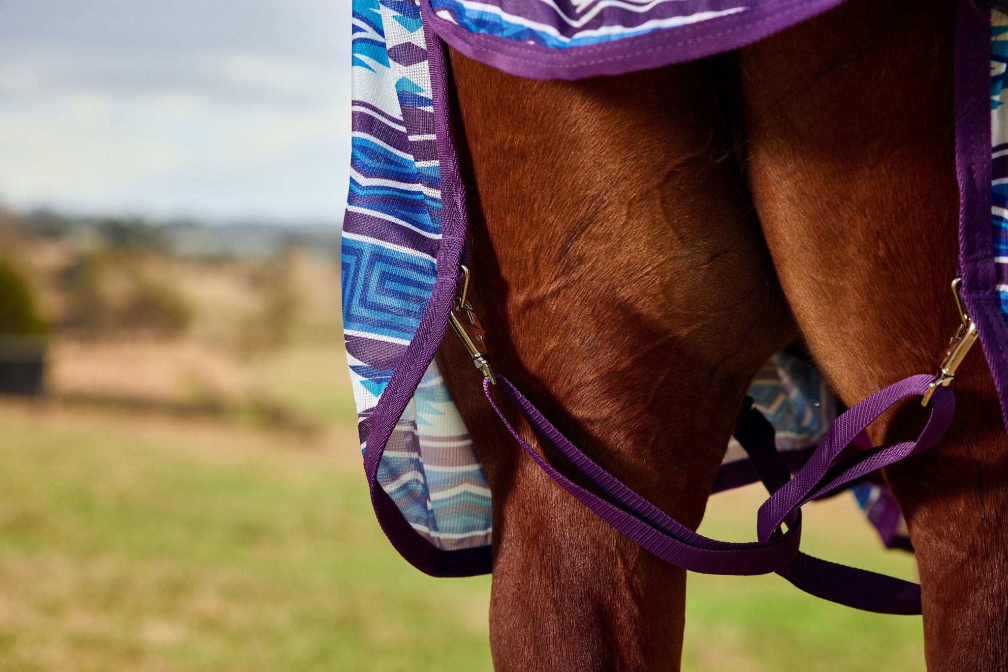 WeatherBeeta ComFiTec Essential Combo Neck Fly Sheet