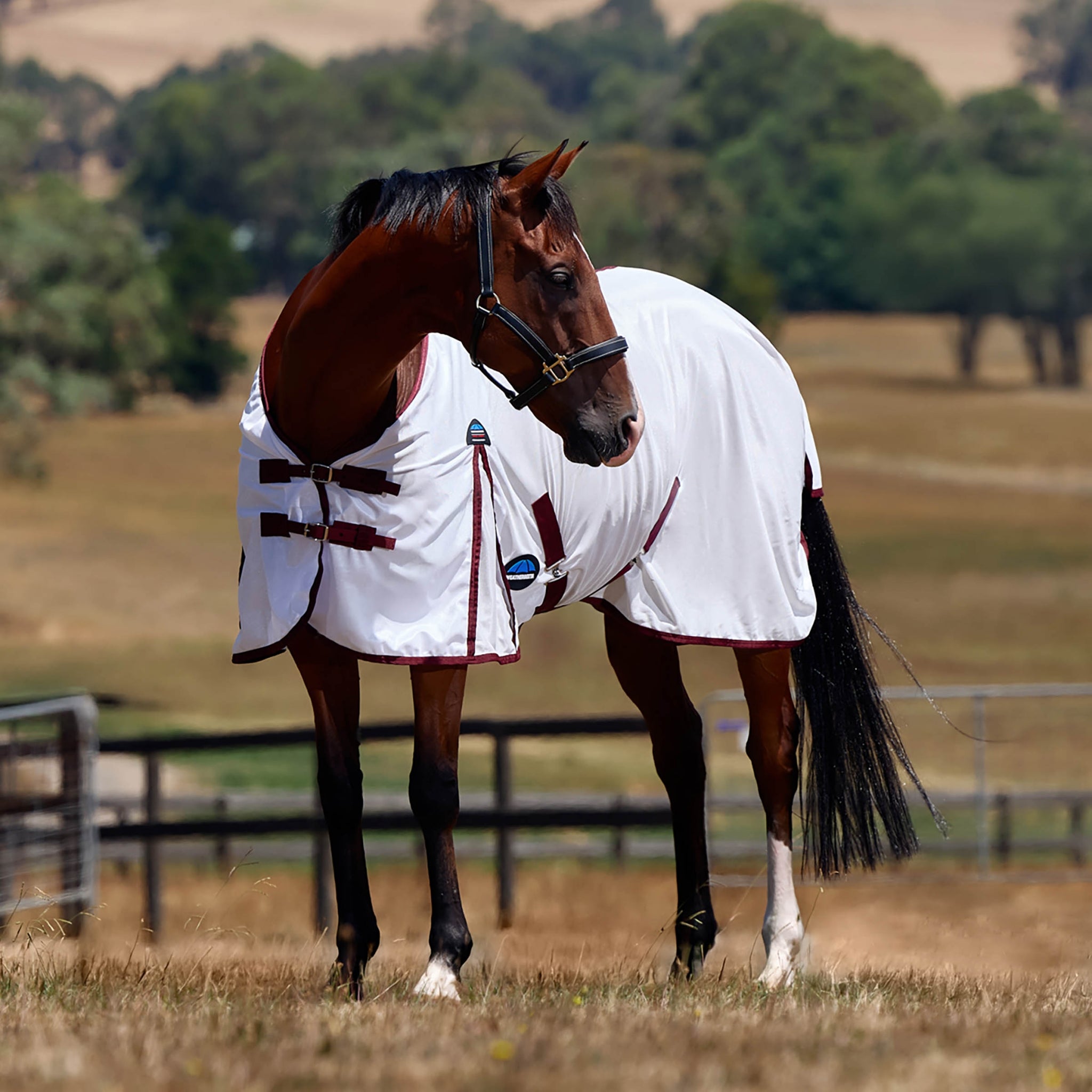 Weatherbeeta ComFiTec Essential Fly Sheet