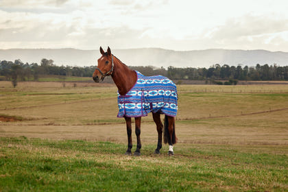 Weatherbeeta ComFiTec Essential Fly Sheet